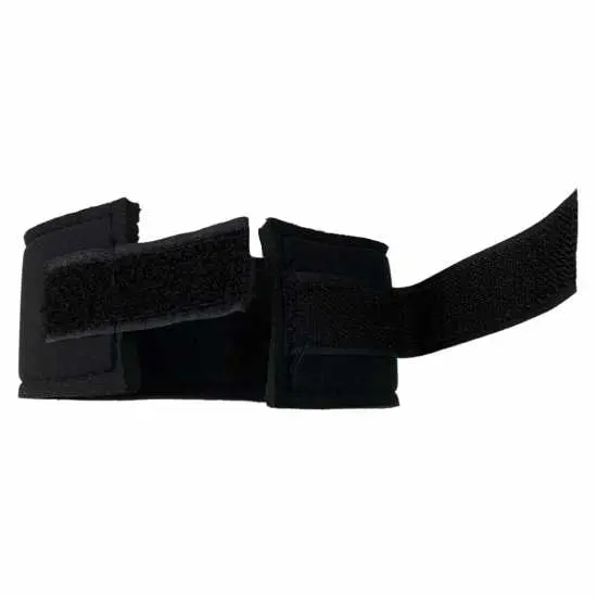 PASTERN-2.webp