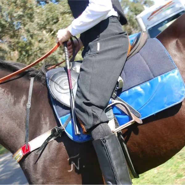 3/4 JODHPURS COTTON & SUEDE