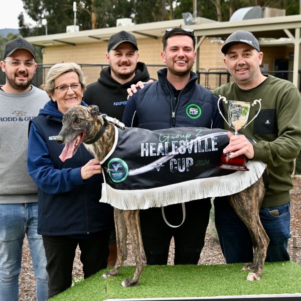 RUG PRESENTATION GREYHOUND
