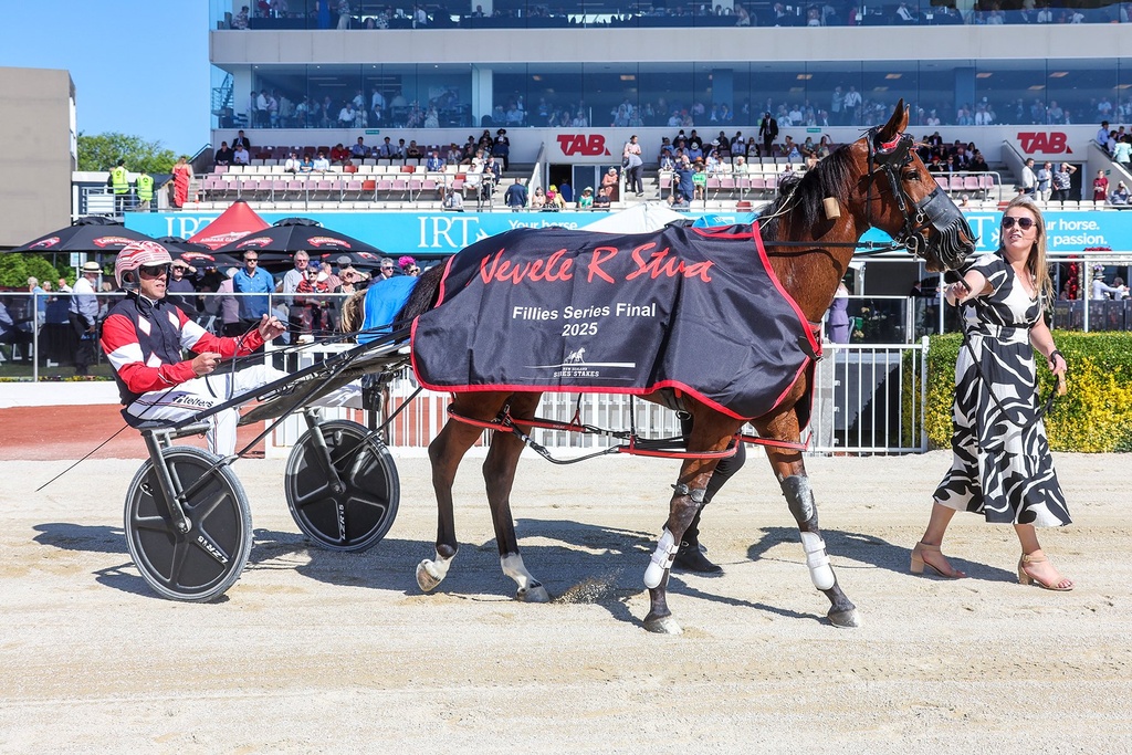 PRESENTATION WEATHERPROOF HARNESS RUG