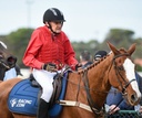 CLERK SADDLE CLOTH