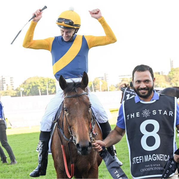 HYLAND STRETCH RACE COLOURS