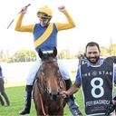 HYLAND STRETCH RACE COLOURS