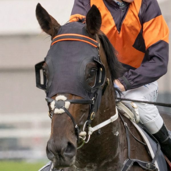 BLINKER *VISOR* BLACK