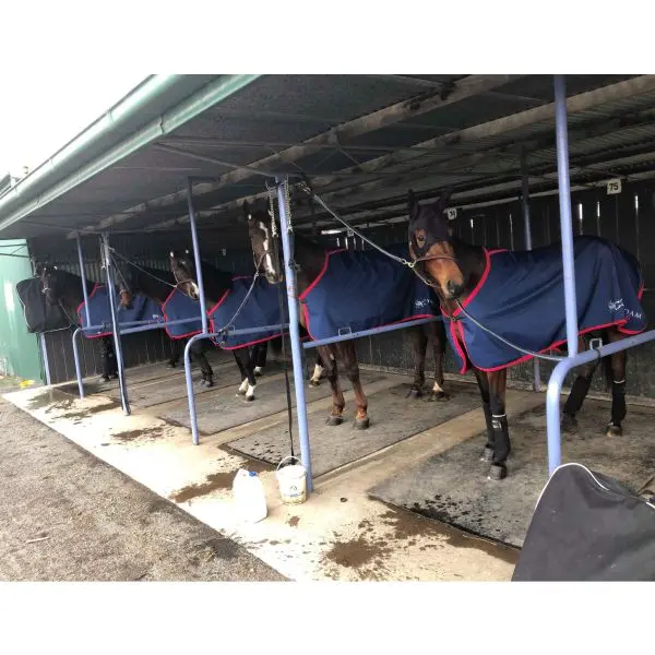 CUSTOM LIGHTWEIGHT HORSE RUGS
