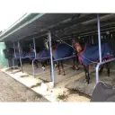 CUSTOM LIGHTWEIGHT HORSE RUGS