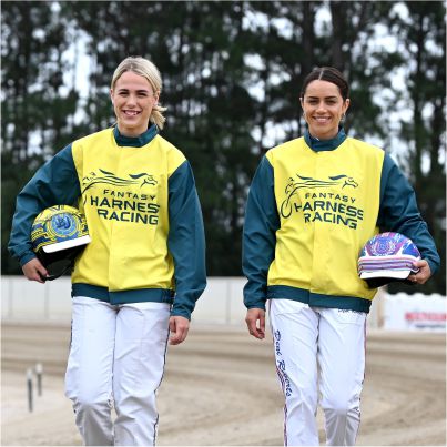 HARNESS COLOURS