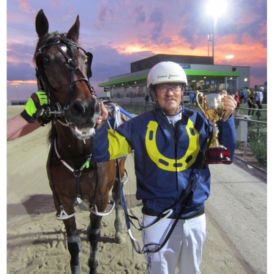 HARNESS COLOURS - WET WEATHER