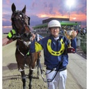 HARNESS COLOURS - WET WEATHER