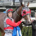 HYLAND RACE COLOURS & MATCHING BLINKERS