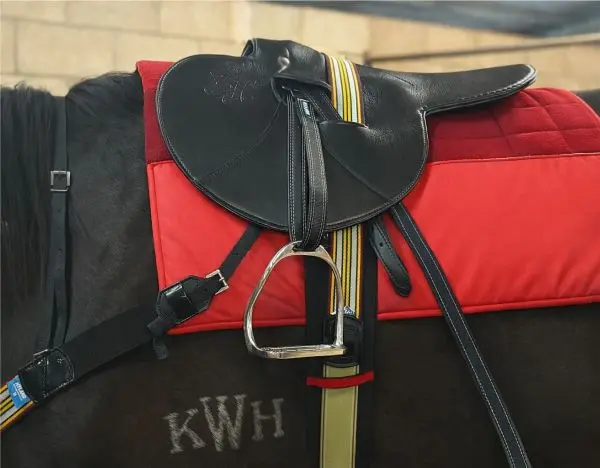 FULLY MOUNTED SADDLES