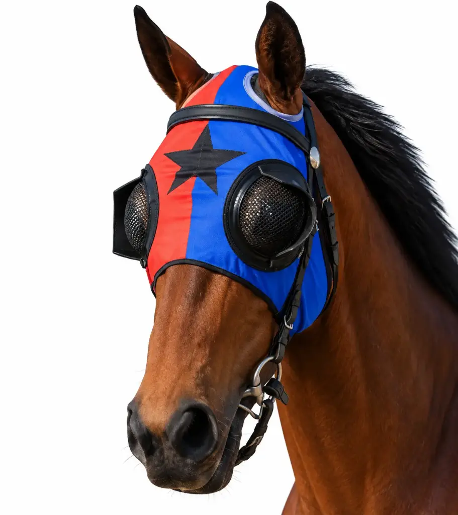 MESH EYES with 1/2 CUP CUSTOMIZED