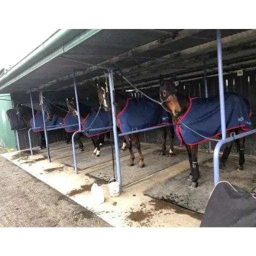 [RU2-1] CUSTOM LIGHTWEIGHT HORSE RUGS