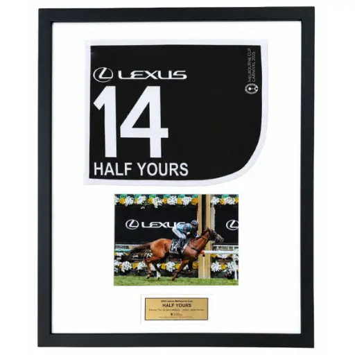 [GIFTS:GT14] REPLICA SADDLE CLOTH - FRAMED