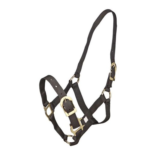 [HALTER / HEAD COLLAR:ZIL542581] Zilco Basic Halter - Full Size Black