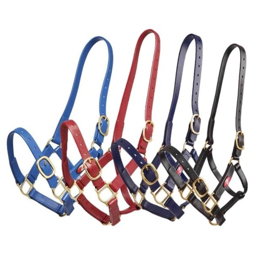 ZILCO 25MM PN HALTER