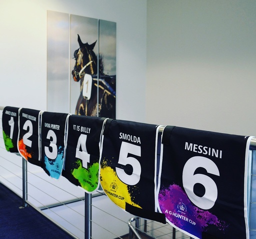 [SC3] HARNESS RACING NUMBER CLOTH
